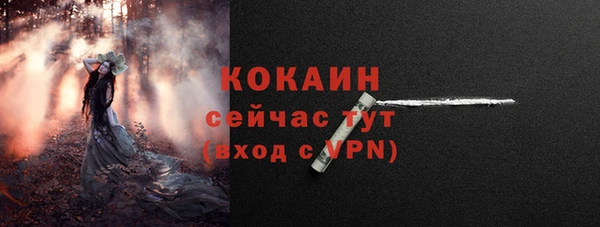 бошки Богородицк